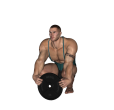 Plate Curl - Squat